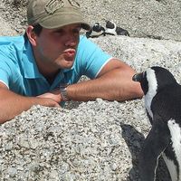 Fotos de Johannes Vetter