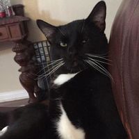 Troy Garcia的照片