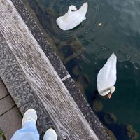 Esraa Alqattan的照片