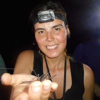 Carolin Eichner's Photo