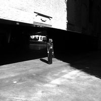 Daya Harrison's Photo