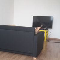 Nikolai Matveev's Photo