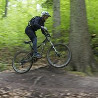 Corry Fritz的照片