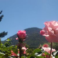 Pochi Elizaran的照片