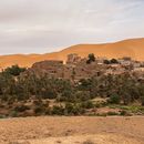 Taghit Camping 🏕️'s picture