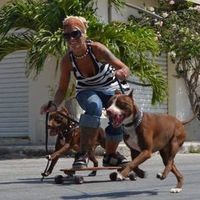 Annie Paradise's Photo