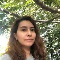 Fotos de Fulya Düdükcü