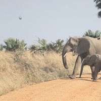 Aminah Babirye的照片