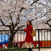 Suda Wetchakaree's Photo