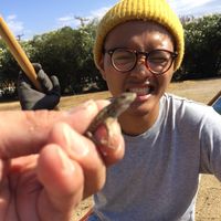 Фотографии пользователя Aaron Jocson