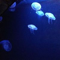 Marina Barba的照片