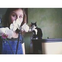 Giulia Silvestri的照片