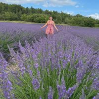 Anaïs Pascaud's Photo