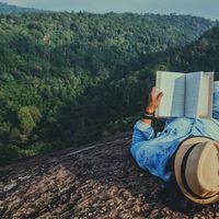 Amid Traveller的照片