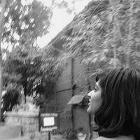 Maanasi Shankar的照片