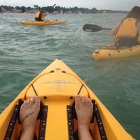 Lauren Lively的照片