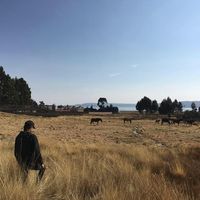 Mathilde Borzée的照片