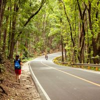 Sophia De Leon's Photo