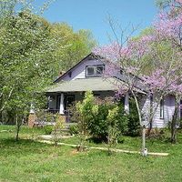 Judy Palmer的照片