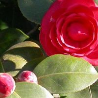 Marie-Laure Dubreuil's Photo