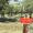 Niloufar Reyhani's Photo