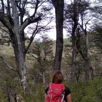 Cintia Orcellet's Photo