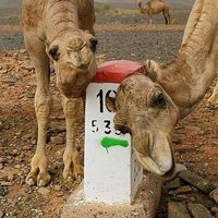 Khalid Khalid's Photo