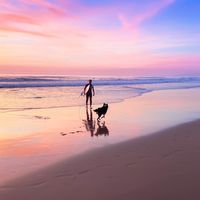 Ron Bashani的照片