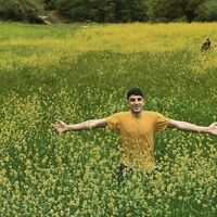 Hossin Afzali的照片