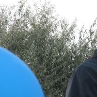 Alin Cristian's Photo