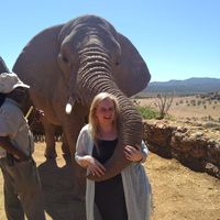 Le foto di Marise Malherbe