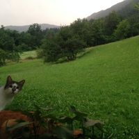 Sebastijan Mavrič's Photo