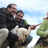 Victor Spiegel's Photo