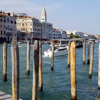 Raghav Holani的照片