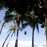 Pirén  Oviedo Arjona的照片