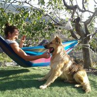 Javier Moreno的照片