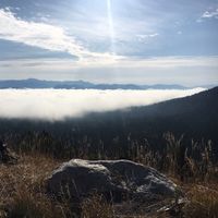 Fotos de Billy Swann