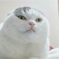 Fotos de Dinar Larasati Yuriputri