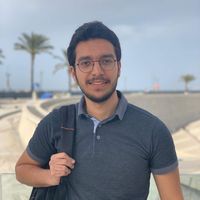 Hossam AlaaElDin的照片