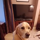 Bora Inventar Um Evento Dia 31?'s picture