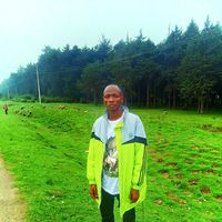 Steve Moses的照片