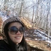 Stellar Cen的照片