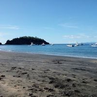 Scooter Steward's Photo