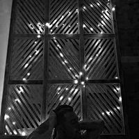 Aryana Yaryari's Photo