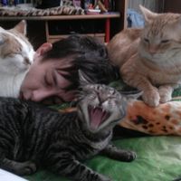 Константин Собакевич的照片