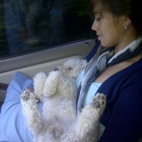 Fotos de carolina roja