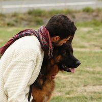 Vincent Nacthigal的照片