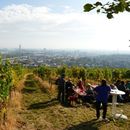 Wine Hike from Grinzing to Nussdorf's picture