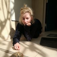 Alicja Blaszkow的照片