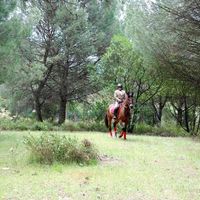 Le foto di Isabel de Carvalho